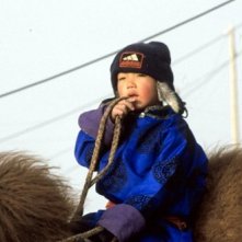 Una scena de il cane giallo della mongolia