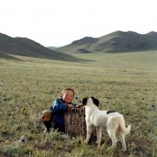 Una scena de il cane giallo della mongolia