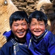 Una scena de il cane giallo della mongolia