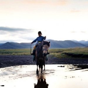 Una scena de il cane giallo della mongolia