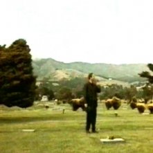 William Hurt in una sequenza di FINO ALLA FINE DEL MONDO