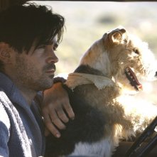 Colin Farrell In Chiedi Alla Polvere 25893