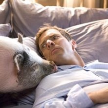 Dennis Quaid in  I tuoi, i miei e i nostri