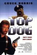 La locandina di Il cane e il poliziotto
