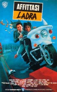 Locandina di Affittasi ladra