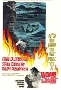 Locandina di La donna di paglia