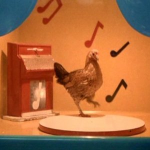 Una scena di LA BALLATA DI STROSZEK