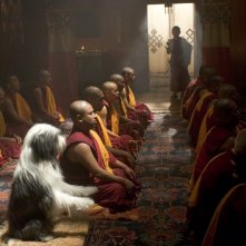 Una scena del film Shaggy Dog