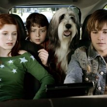 Zena Grey, Spencer Breslin e Shawn Pyfrom in una scena di The Shaggy Dog