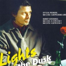 La locandina di Lights In The Dusk