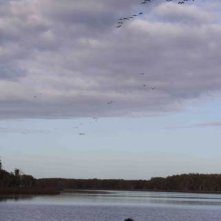 Una scena di Dieci canoe