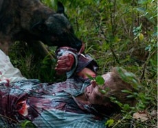 Una scena di The Breed - La razza del male