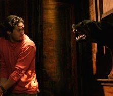 Una immagine di The Breed