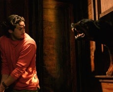 Una immagine di The Breed