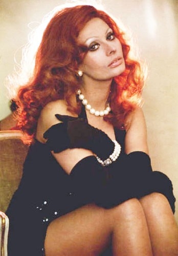 Sophia Loren 27574