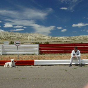 Una scena di Bombòn - El perro