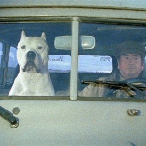 Una scena di Bombòn - El perro