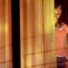 Camilla Belle nel remake Chiamata da uno sconosciuto