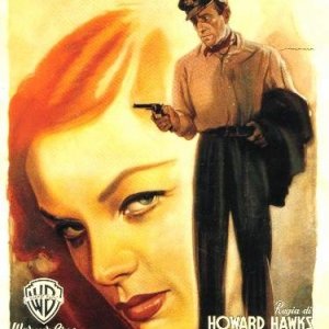 La locandina di Acque del sud