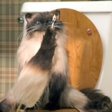 Una scena del film Hot Movie