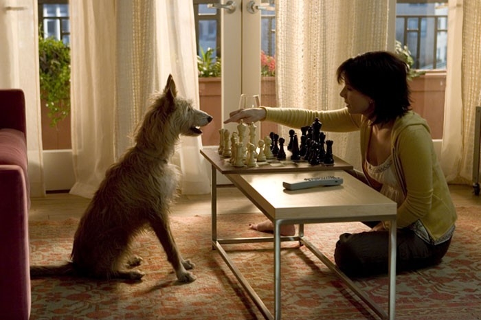 Sandra Bullock In Una Scena Del Film La Casa Sul Lago Del Tempo 27713