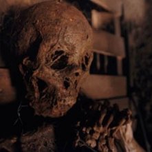 Una scena del film Il custode