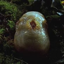 Una scena di Slither