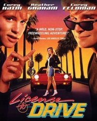 Locandina di Licenza di guida