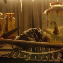 Una scena dell'horror Il collezionista di occhi