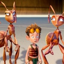Una scena di Ant Bully - Una vita da formica