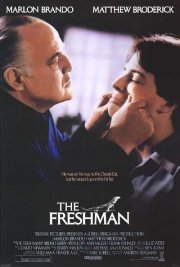 La locandina di Il boss e la matricola