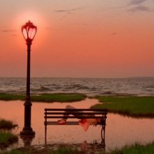 Una scena del film Shortbus