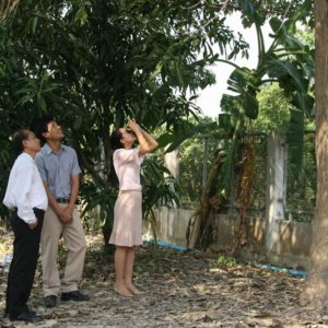 Una scena del film Syndromes And A Century