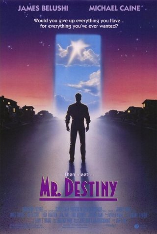 La locandina di Mr. Destiny