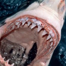 Una scena della serie tv 'Vivo per miracolo'