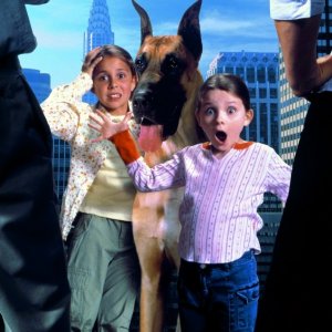 Abigail Breslin e Makenzie Vega in una sequenza del film Chestnut