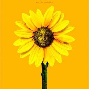 La locandina di Daddy's Little Girls