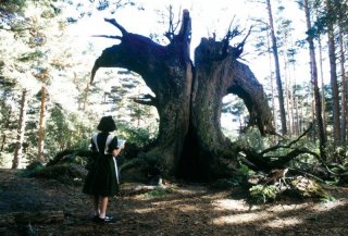 Una scena del film Il labirinto del fauno