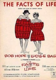 La locandina di Un adulterio difficile