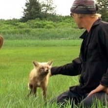 Timothy Treadwell in una scena del documentario naturalistico Grizzly Man