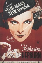 La locandina di La falena d'argento