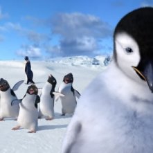 Una scena del film Happy Feet del 2006