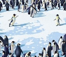 Una bellissima scena del film Happy Feet