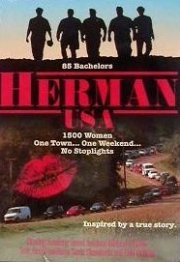 La locandina di AAA cercasi fidanzata disperatamente