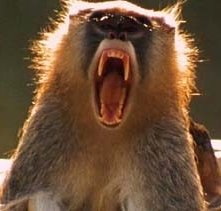 Una scena del film di Mel Gibson, Apocalypto