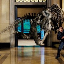 Ben Stiller in una scena del blockbuster Una notte al museo