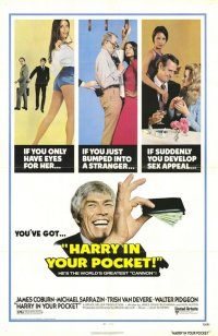 Locandina di Il professionista