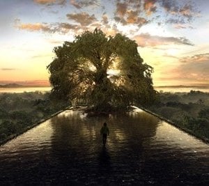 una scena de L'albero della vita (2006)