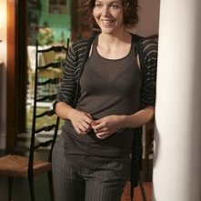 Maggie Gyllenhaal in una scena di Vero come la finzione