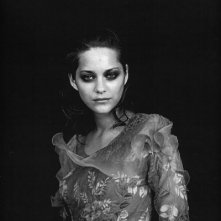 Marion Cotillard 40954